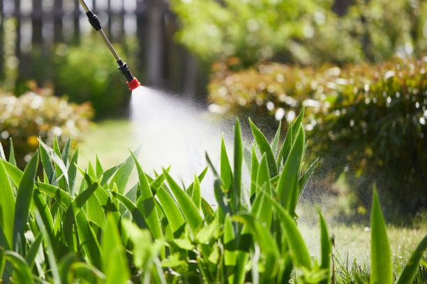 24/7 Emergency Mosquito Control experts in Galena, IN